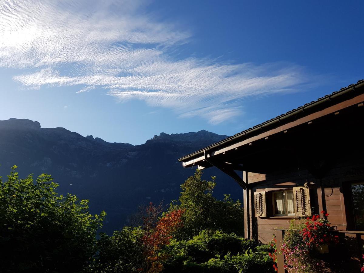 Ferienwohnung Selinda Niederried bei Interlaken Bagian luar foto