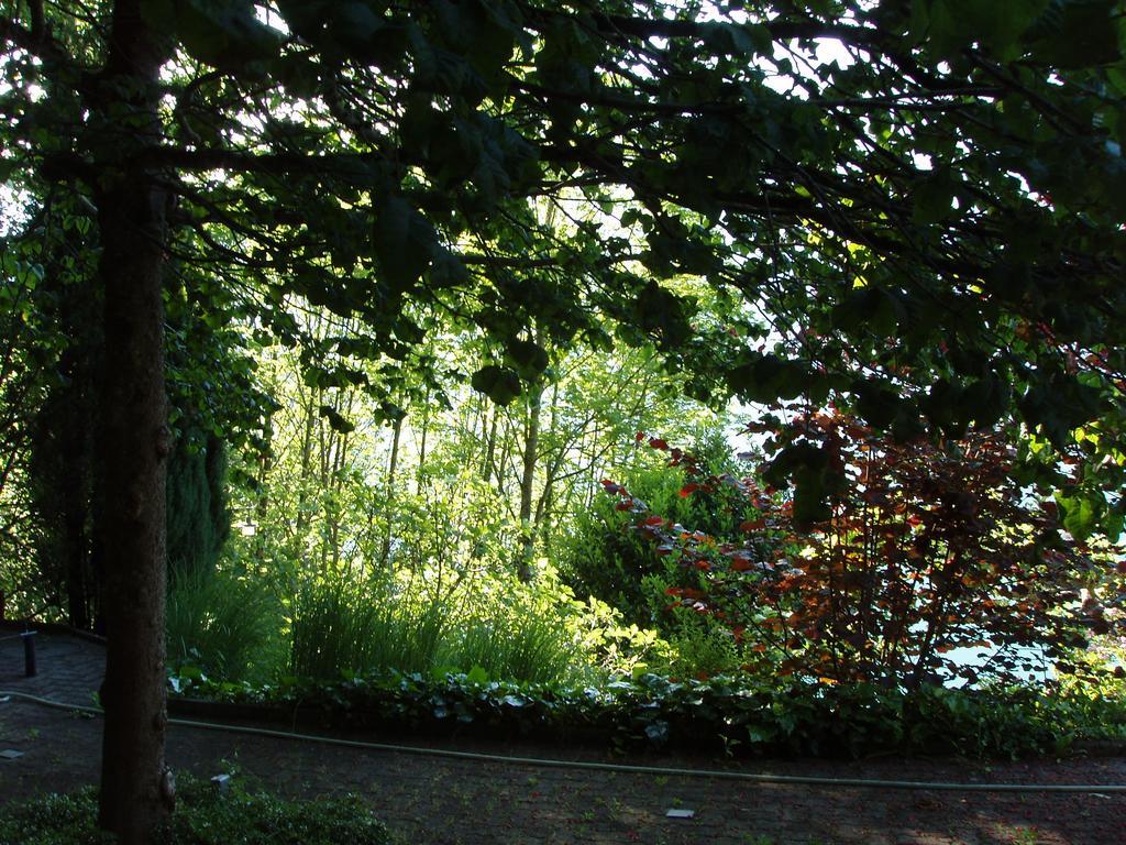 Ferienwohnung Selinda Niederried bei Interlaken Bagian luar foto