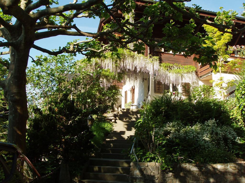 Ferienwohnung Selinda Niederried bei Interlaken Bagian luar foto